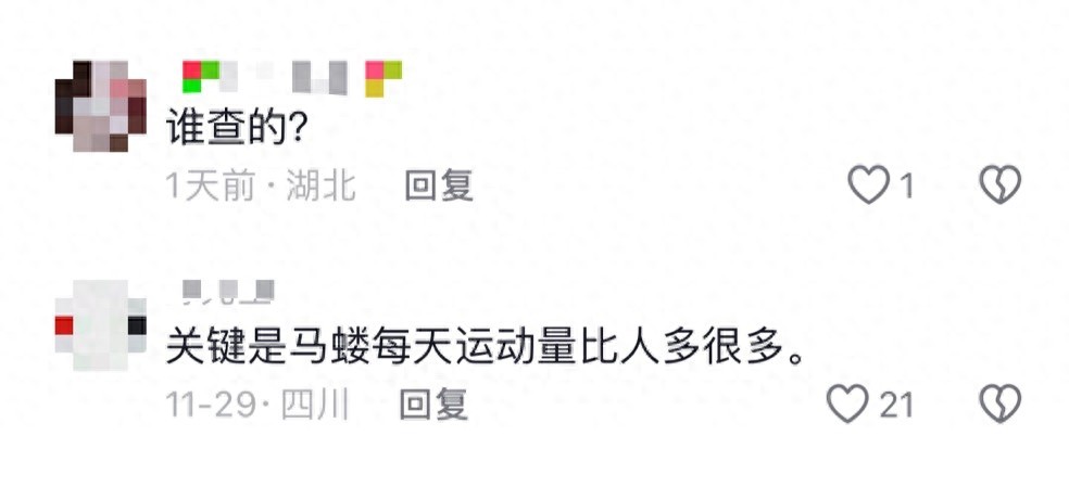 峨眉山猴子糖尿病传闻真相大揭秘：85%患病率背后的惊人真相  第1张