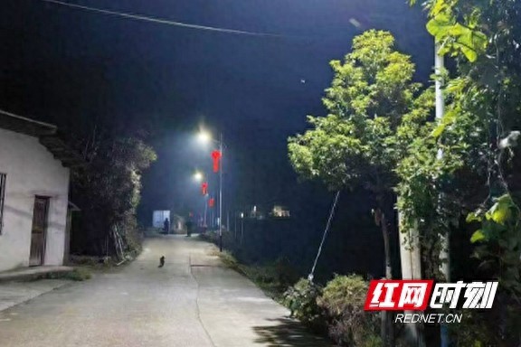 点亮山区夜空：乡贤无私捐献路灯，3公里振兴路照亮希望