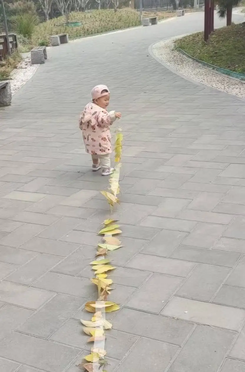 一片枫叶，如何在大城市中留住秋意？