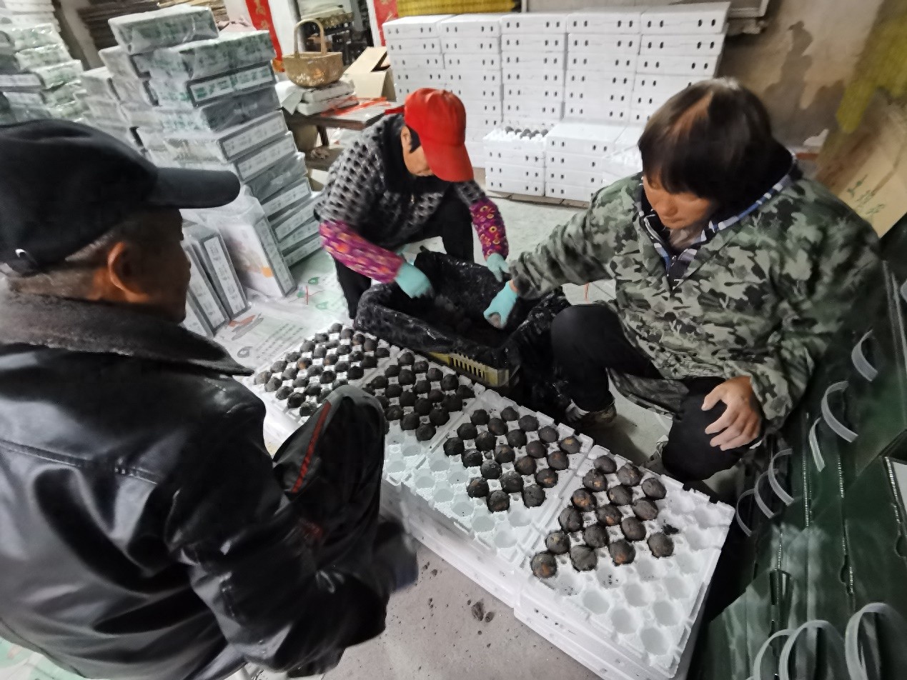 浦发银行助力玉皇顶村特色农产品走向全国，桔香灰蛋成新宠，销售额破十万