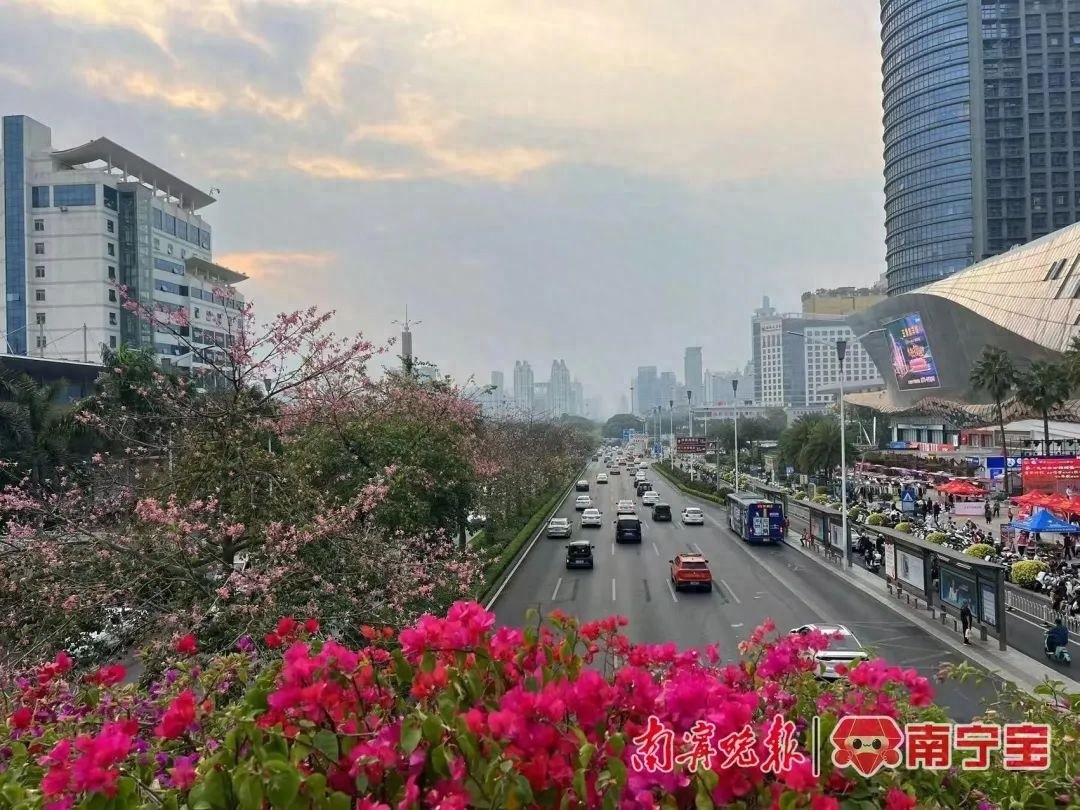 广西秋天美景惊艳全国！冷空气来袭，降温+大风持续，你准备好了吗？  第1张