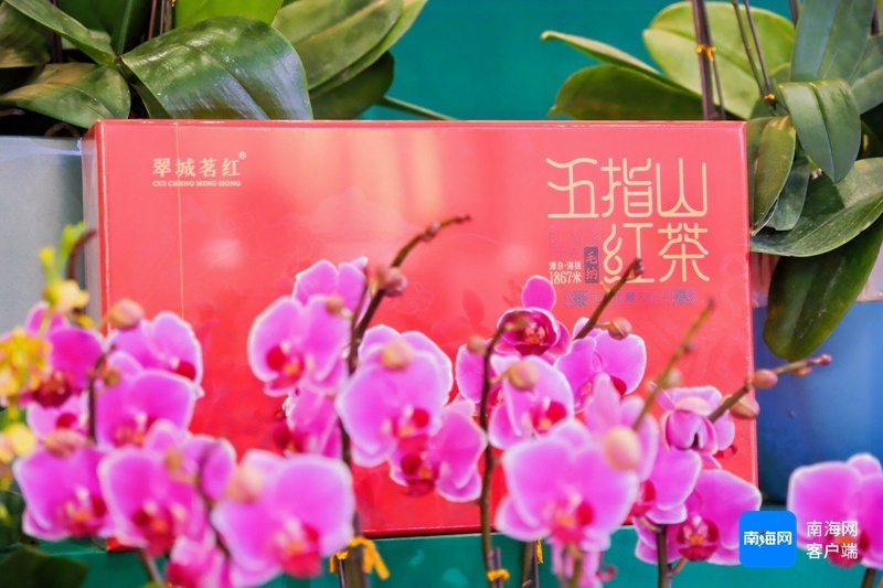 惊！五指山凭借独特优势打造‘五指山珍’品牌，众多企业获证书  第2张