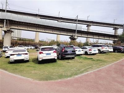 高铁公园草坪竟成停车场？上百辆车鸠占鹊巢，市民直呼太危险