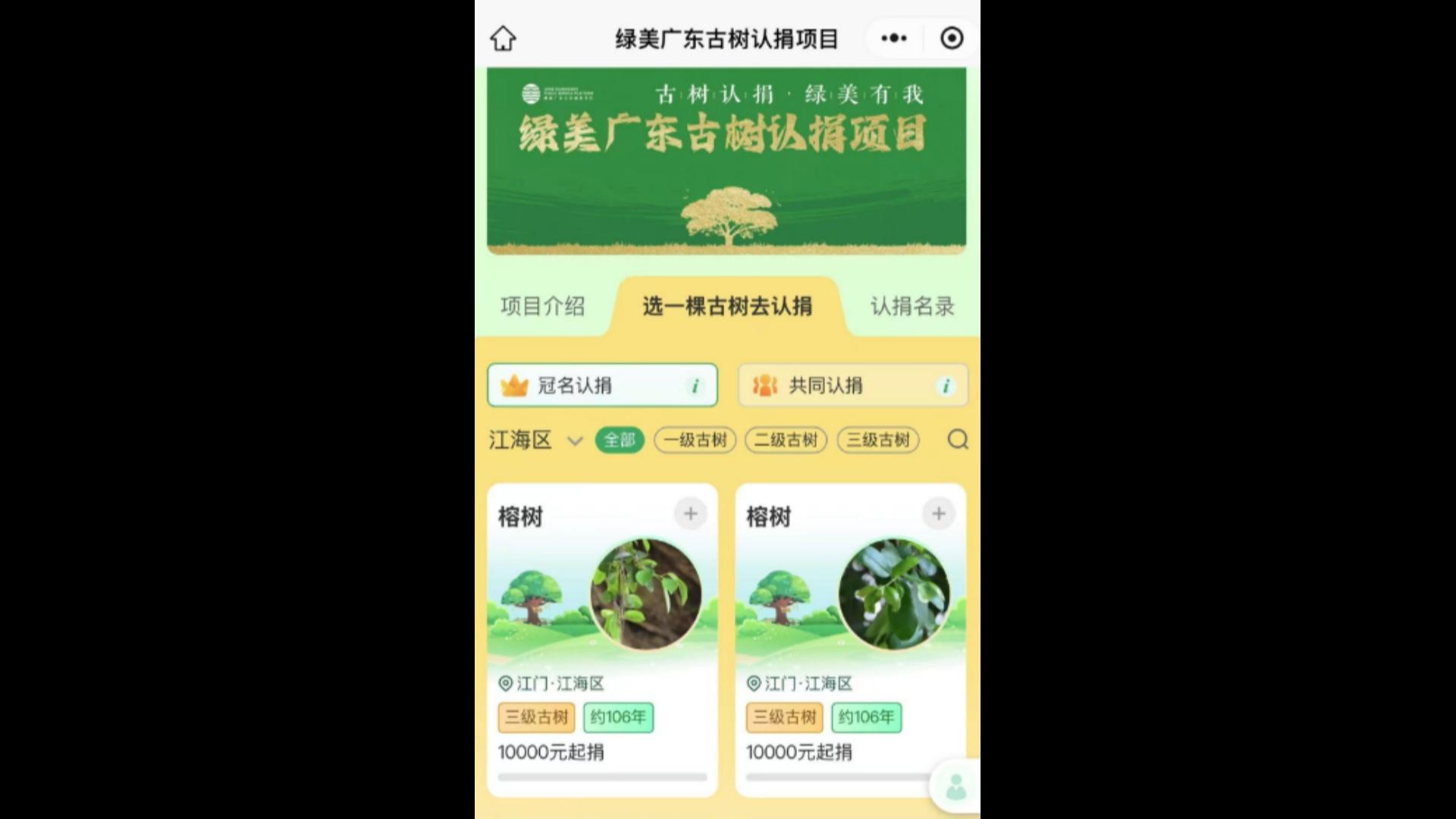百年古榕树的命运，你是否愿意参与改变？  第3张
