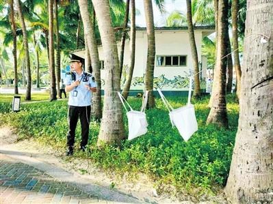 三亚湾绿地整治行动：还景于民，打造绿色生态名片  第1张