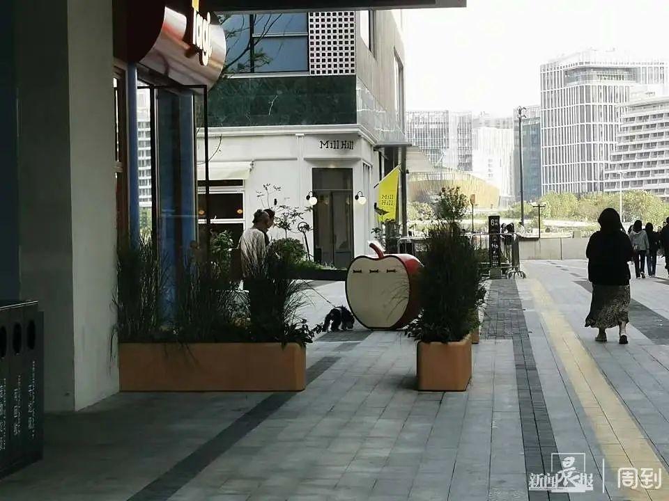 徐汇滨江现专门停狗处，网友：还得是上海！太超前了  第2张