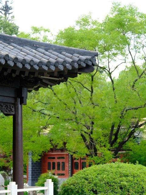 昆明世博园，秋日里的植物盛会，孩子们的自然大课堂  第10张