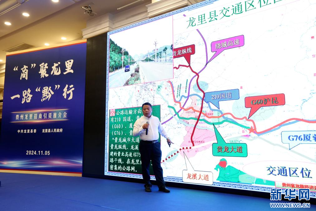 龙里招商引资推介会在佛山举行，900 余家企业已入驻  第3张