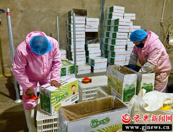 3 小时内完成蜕变！定边县糯玉米的神奇之旅  第2张