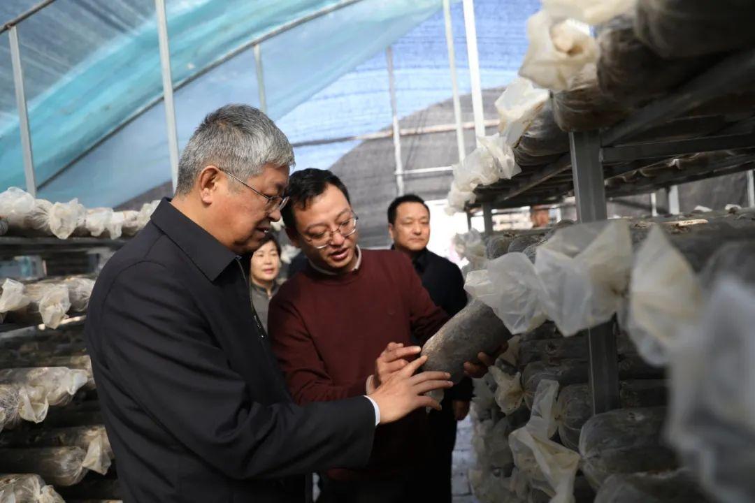 市委书记张柯兵调研徽县、两当县和陇南经济开发区，强调打造支柱产业，紧盯时间节点  第2张