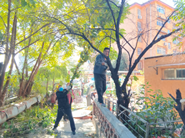 历城区清河新居社区城管工作站大动作！清理杂乱树枝，还居民舒适环境