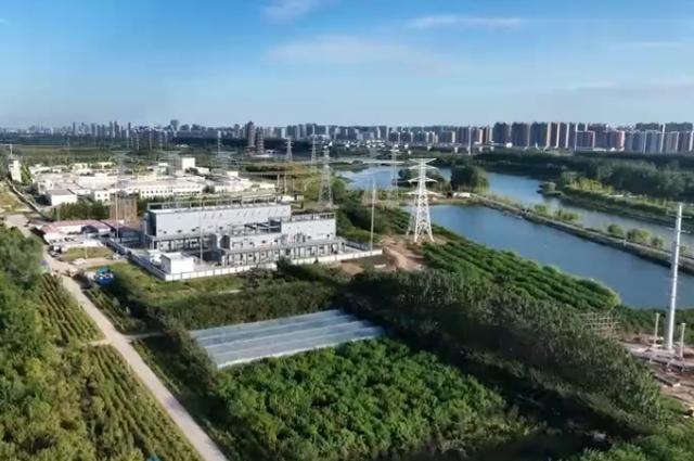 秋风送爽蟹肥膏黄，宿迁霸王蟹喜获丰收，智能化电气化养殖助力品质提升  第2张