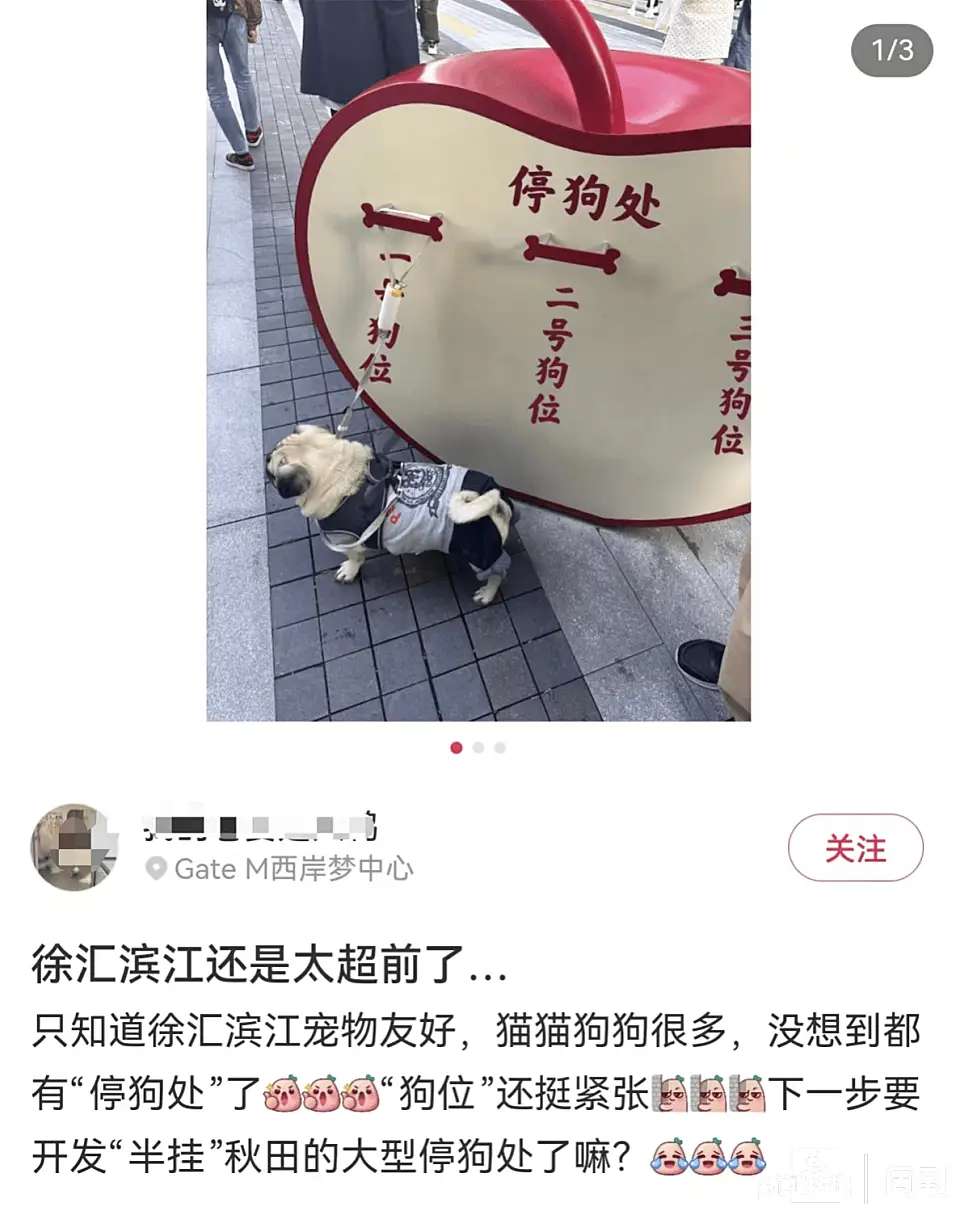 徐汇滨江惊现停狗处，超前设施引发养宠者热议  第2张