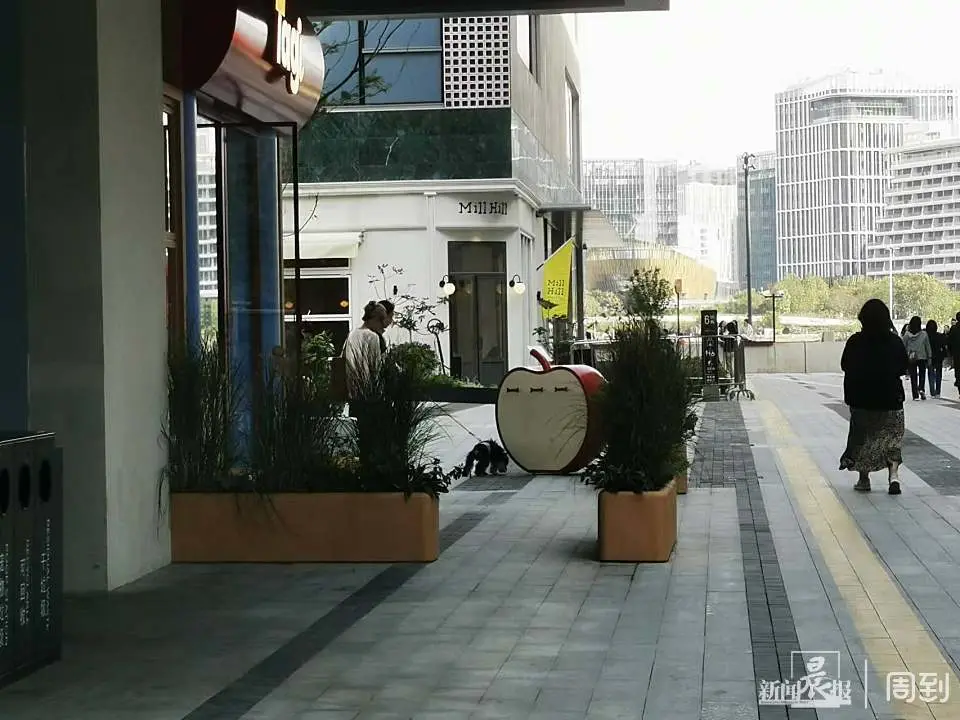 徐汇滨江惊现停狗处，超前设施引发养宠者热议  第3张