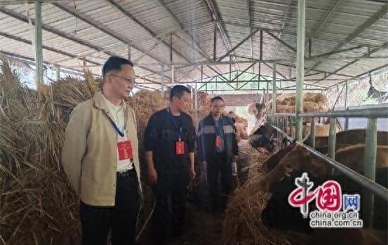 湘西州政协开展三级联动视察活动，助力白云贡米提质增效和群众增收  第1张