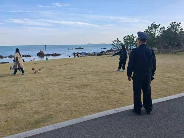 遛狗不牵绳、不清理粪便？崂山区麦岛综合行政执法中队出手了  第2张