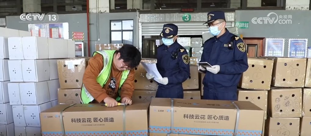 你知道吗？我国花卉进出口贸易额超 20 亿，从业人员超 500 万  第2张