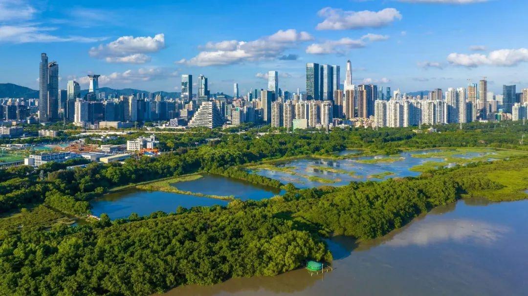 全球首个国际红树林中心成立，将为世界带来哪些福祉？  第2张