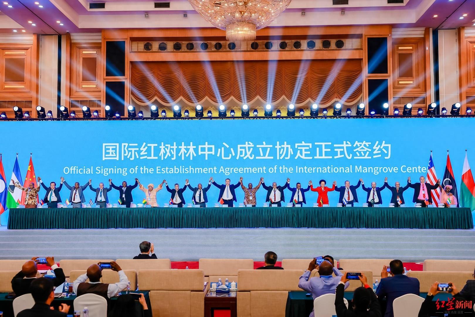 全球首个国际红树林中心成立，深圳为何获此殊荣？  第1张