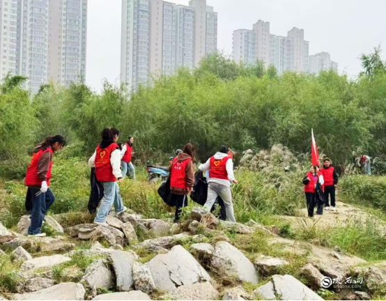 守护母亲河，志愿者们在行动！他们的每一个动作都充满了对母亲河的深情呵护  第3张