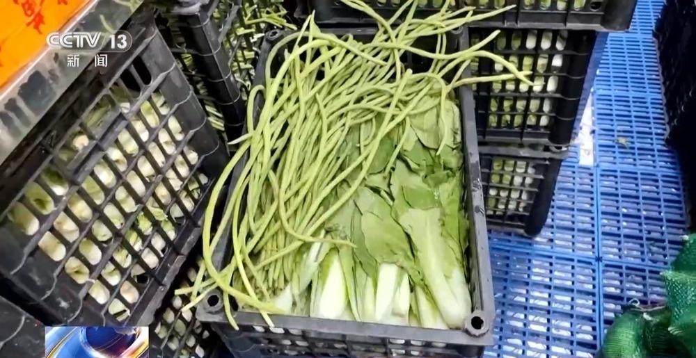 2025 年中国第 41 次南极考察，近 7 个月饮食如何保障？  第6张