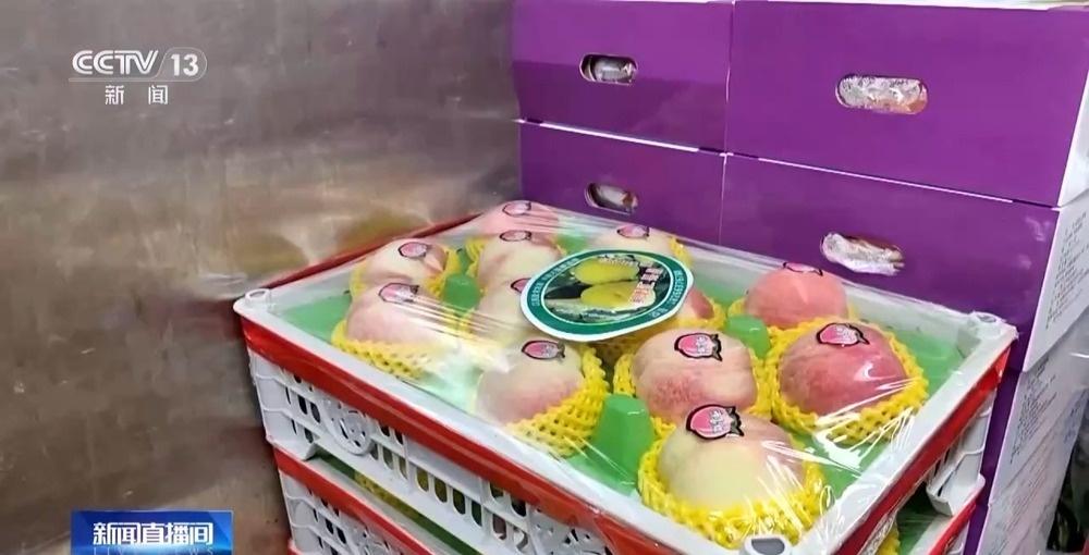 2025 年中国第 41 次南极考察，近 7 个月饮食如何保障？  第8张