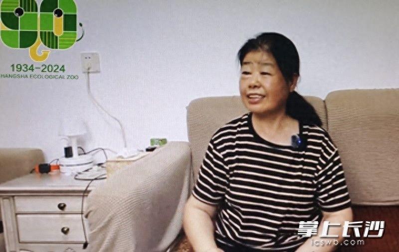 七旬老人分享在长沙动物园养鸟的故事，用抱鸡婆孵化孔雀，你见过吗？  第1张