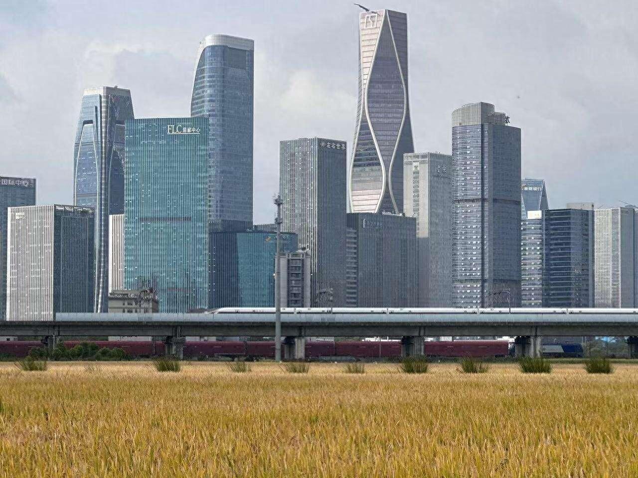 风吹麦浪！杭州钱江世纪城麦田 CBD 迎来黄金时刻，最佳打卡时间已到  第1张