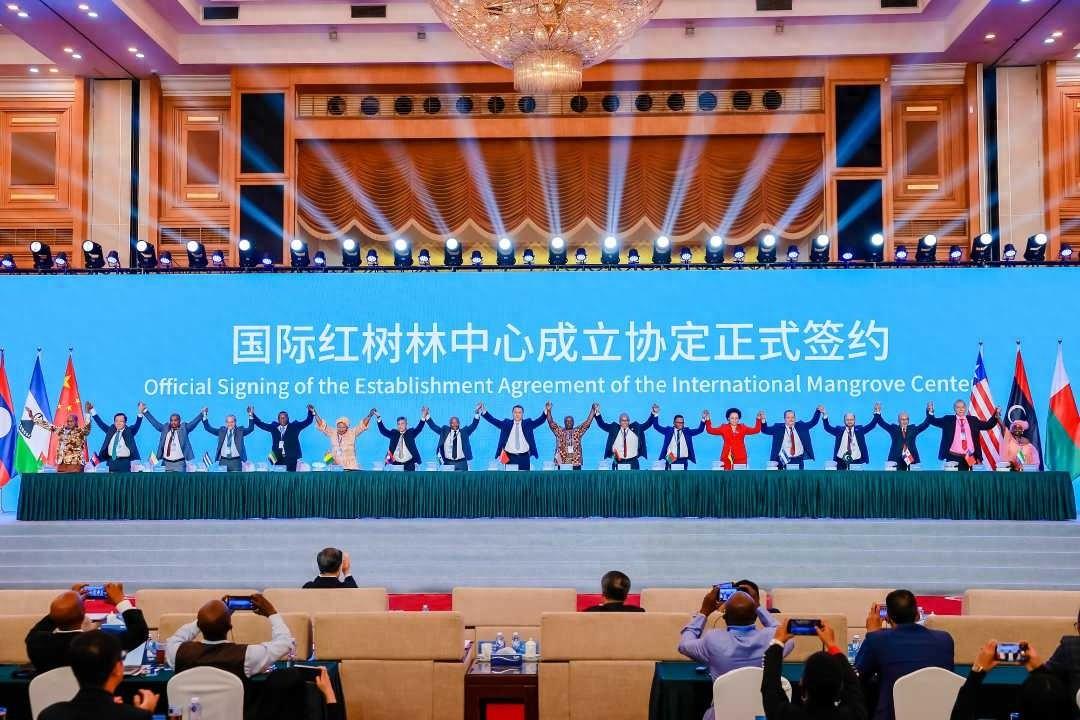 全球首个国际红树林中心落户深圳，它将带来什么？  第1张