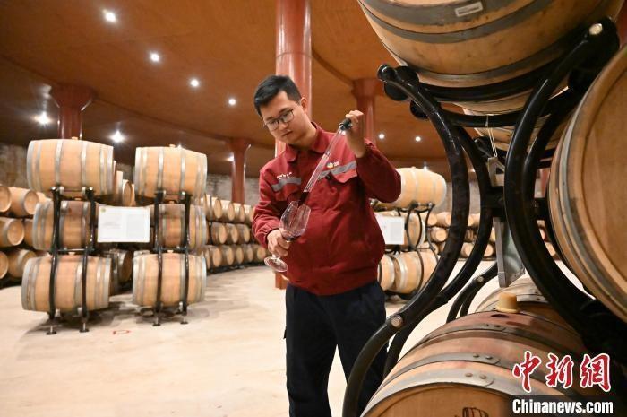 年产 14 万吨，产值近 30 亿！昌黎葡萄酒产业集群有多牛？  第4张