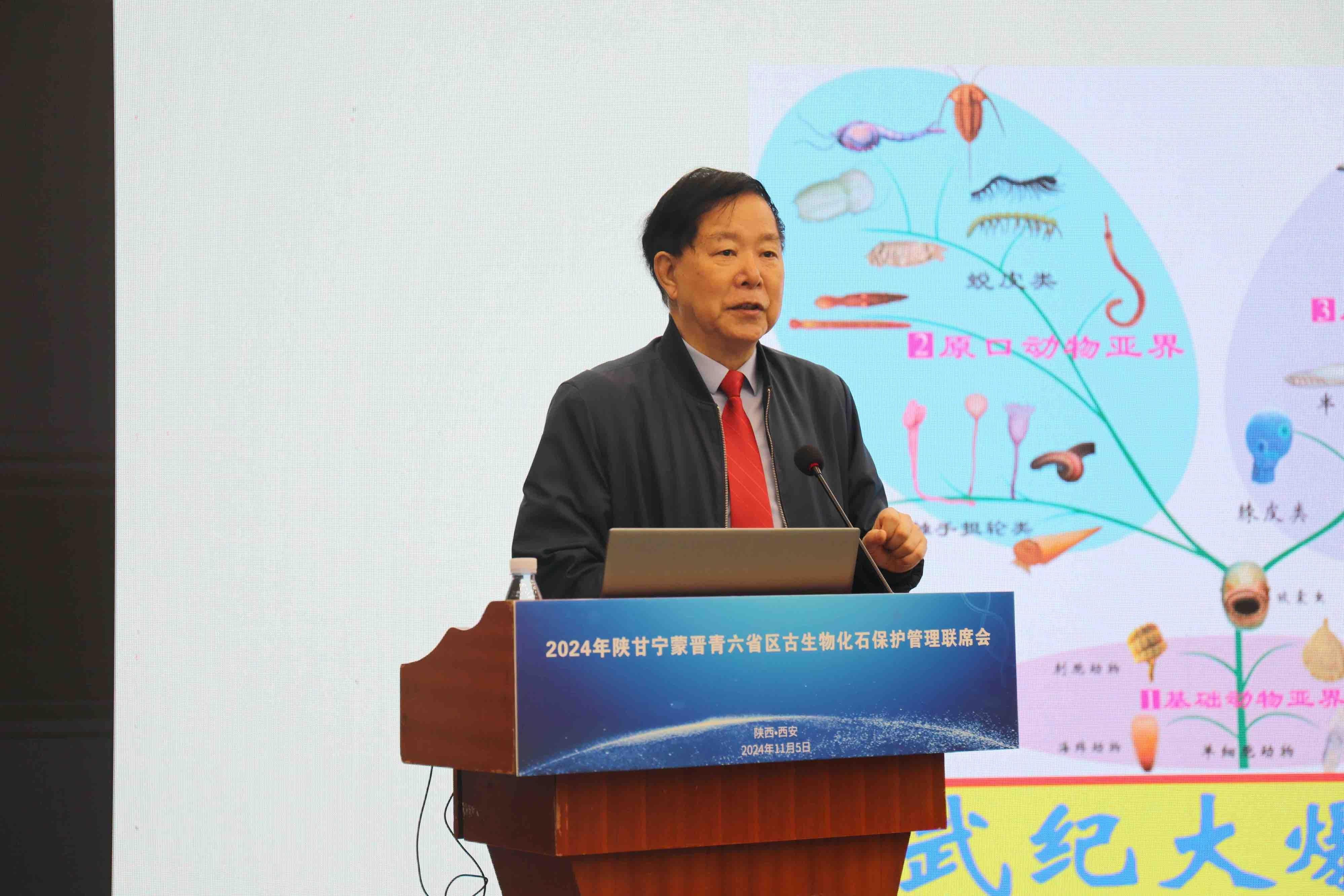 六省区齐聚西安，共商古生物化石保护大计  第2张