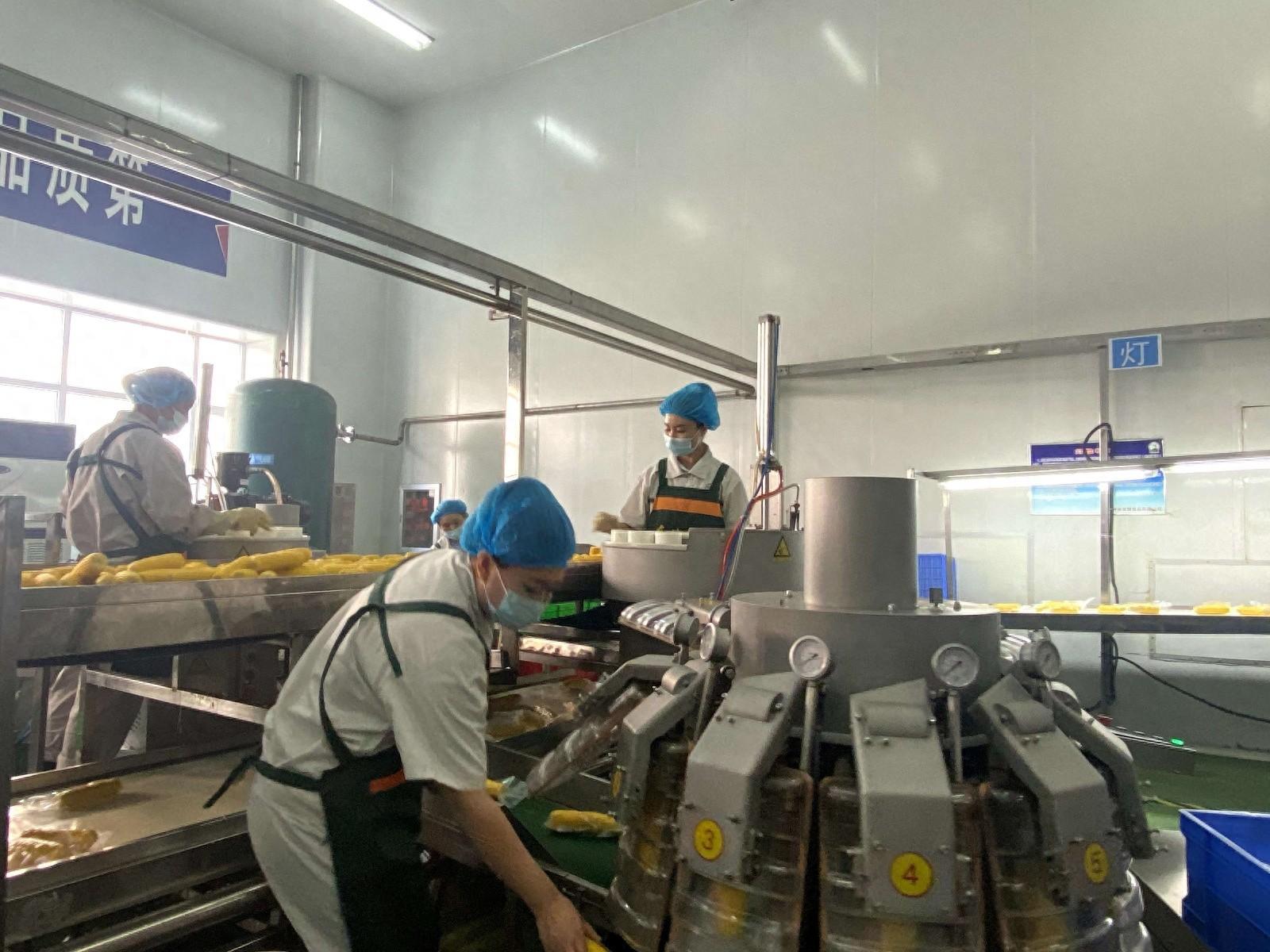 吉林鲜食玉米：从一根玉米到主食副食化的神奇转变  第1张