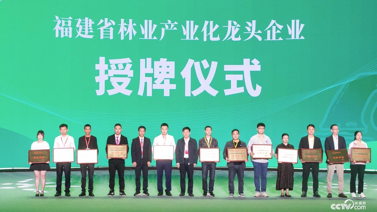 第十九届海峡两岸林博会开幕，三明期待与你实现互利共赢  第2张