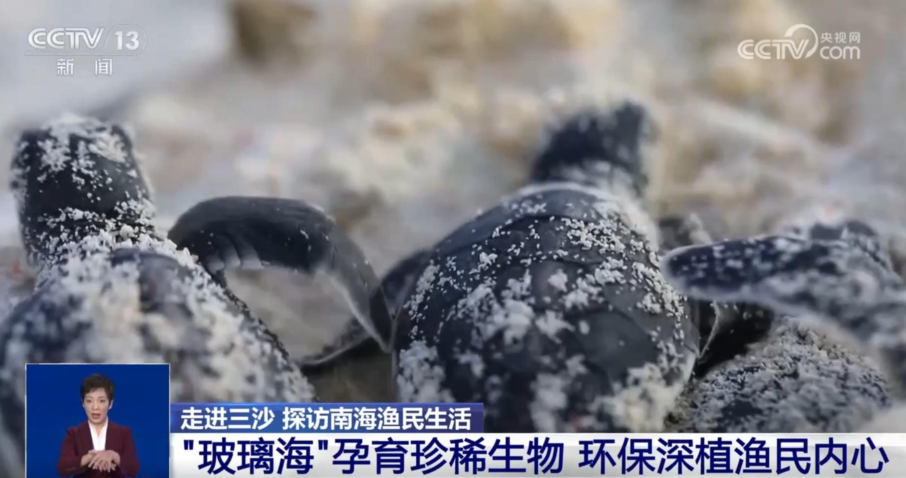 我国首次发布生态保护修复公报！陆地海洋齐保护，南海渔民这样做  第2张