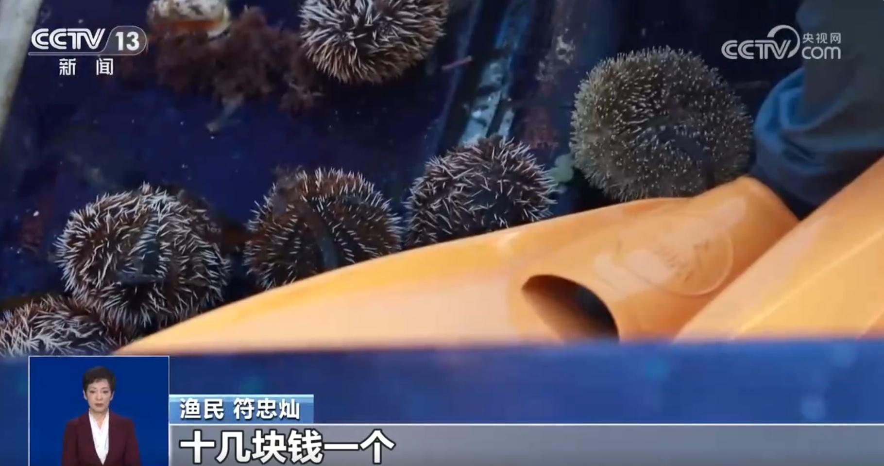 我国首次发布生态保护修复公报！陆地海洋齐保护，南海渔民这样做  第4张