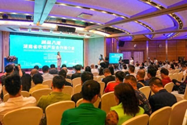 湖南日报：湘品入湾，这些特色产业等你来谈  第1张