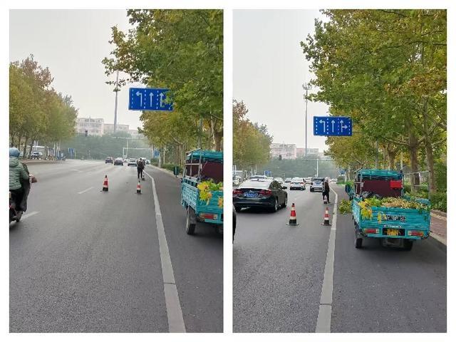 滨州开展行道树修剪专项行动，为市民出行保驾护航  第2张