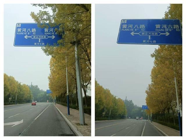 滨州开展行道树修剪专项行动，为市民出行保驾护航  第3张