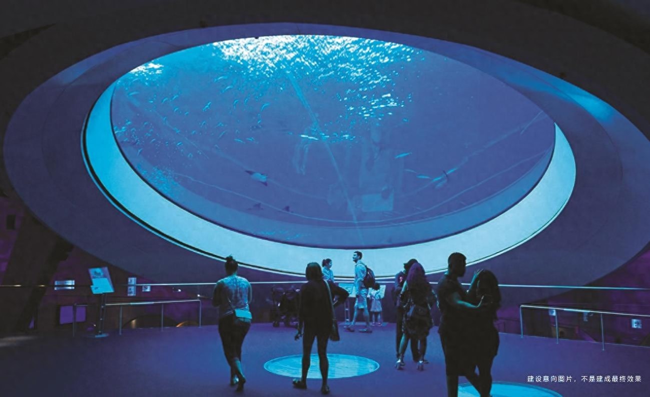 合肥海洋世界三期震撼来袭！2026年，180°海底隧道与珍稀极地动物等你来探索