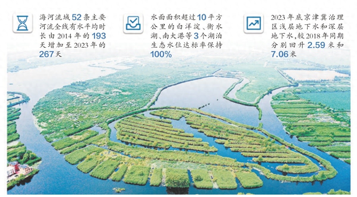 海河流域河湖复苏奇迹：51条河流全线贯通，白洋淀水域面积激增至300平方公里