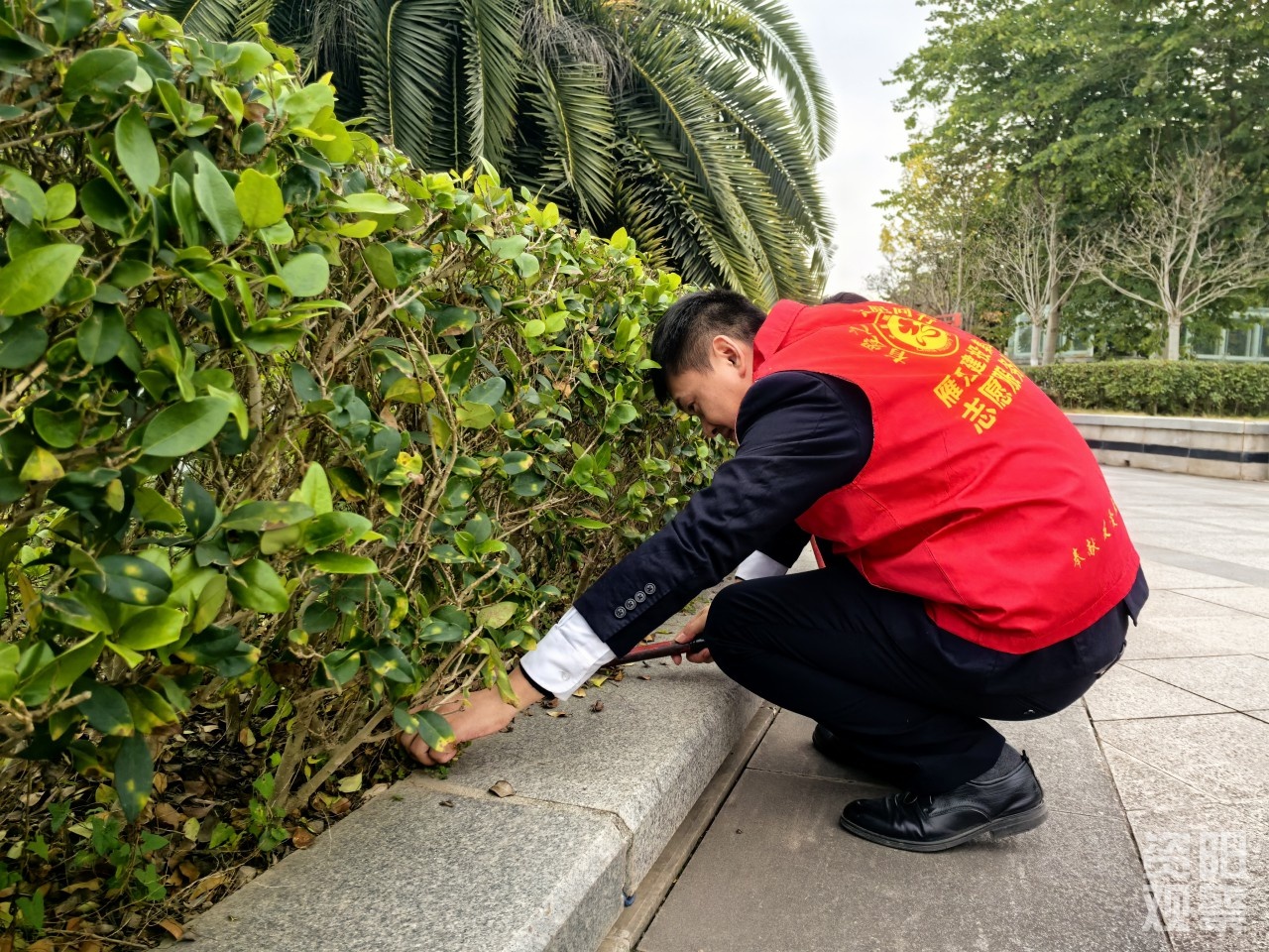 国际志愿者日，国企志愿者暖心行动：清理杂草、搬运单车，共建和谐社区  第2张