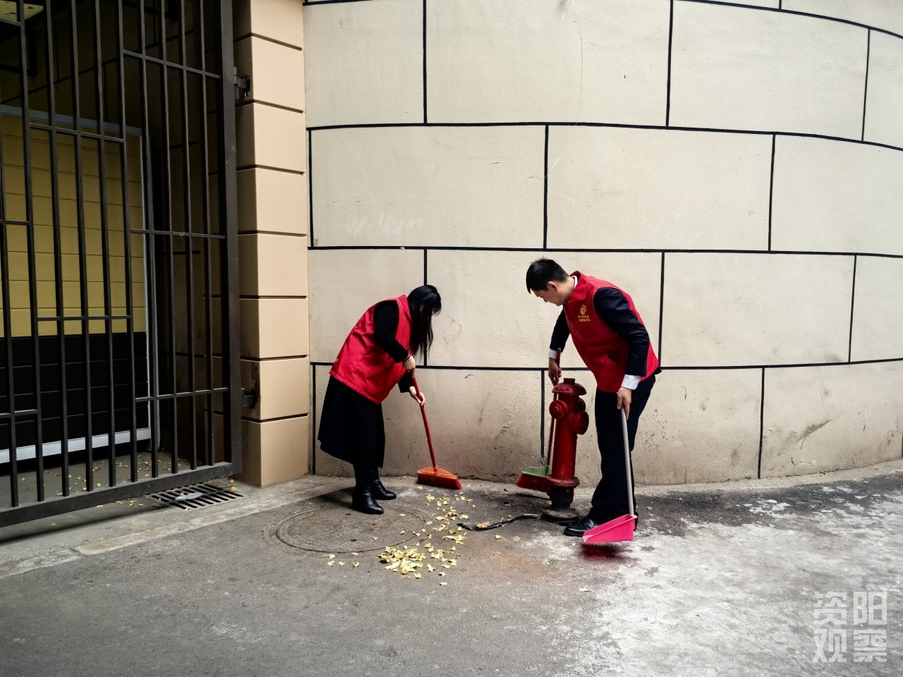 国际志愿者日，国企志愿者暖心行动：清理杂草、搬运单车，共建和谐社区  第4张