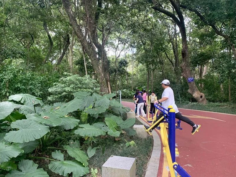 智慧健身器材来袭！福安体育公园全新体验，亲子游玩健身一举两得  第2张