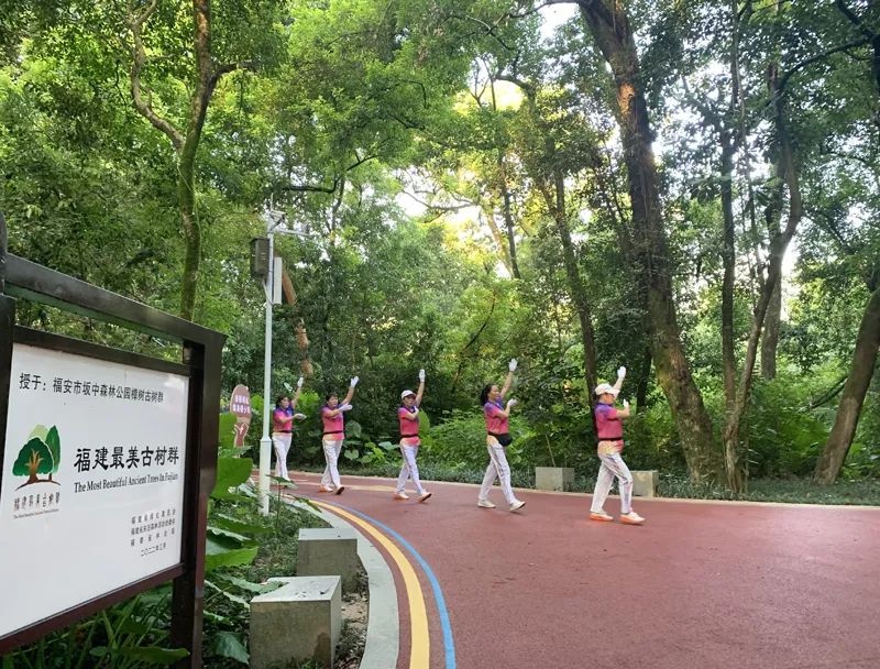 智慧健身器材来袭！福安体育公园全新体验，亲子游玩健身一举两得  第3张