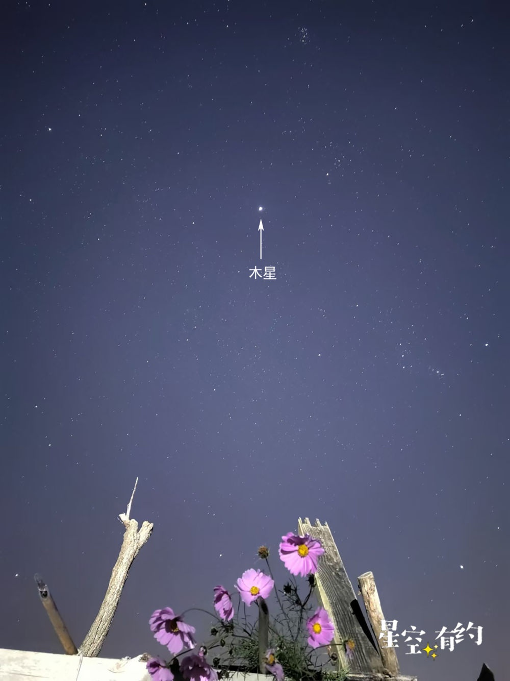12月星空盛宴：天狼星与老人星争辉，冬季大三角惊艳夜空  第5张