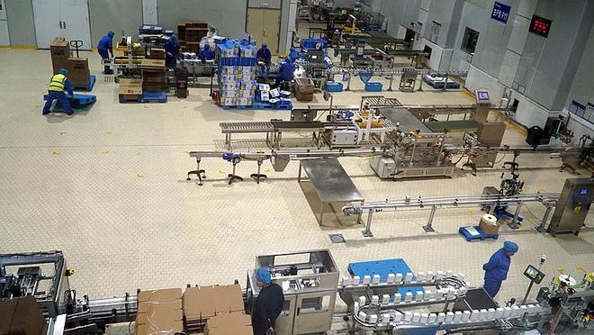 宁夏金河小黄袋酸奶：20年匠心打造，亚洲最大乳蛋白提取深加工企业揭秘  第4张