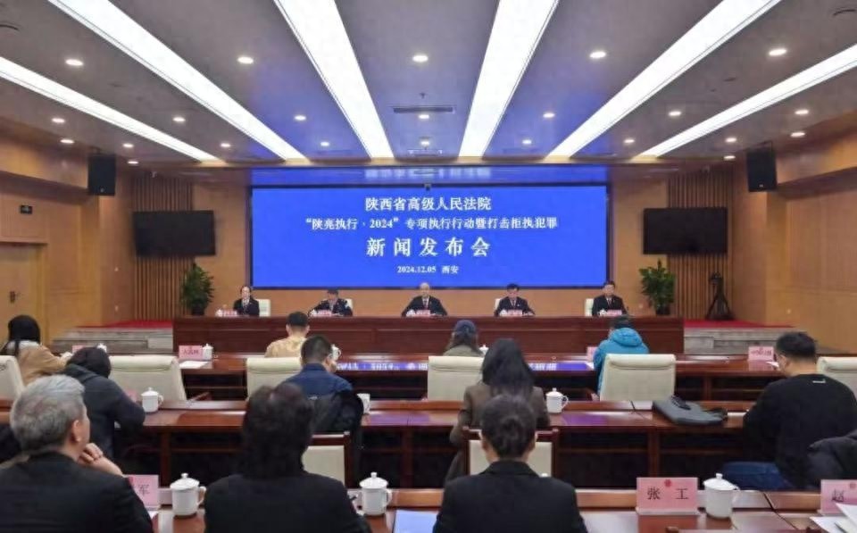 陕亮执行·2024专项行动：14万案件执结，504亿到位，拒执犯罪零容忍  第1张