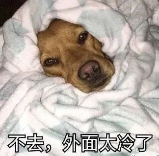 冻手冻脚的周末即将来临，阳光回归却难掩寒意，你准备好了吗？  第1张
