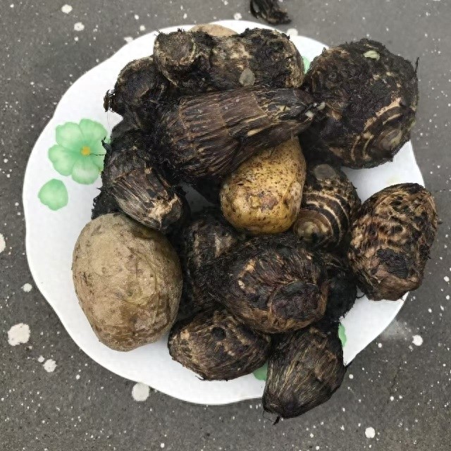 冬夜寒风中的温暖记忆：一碗芋饺，如何温暖了常山小城的冬夜？  第1张