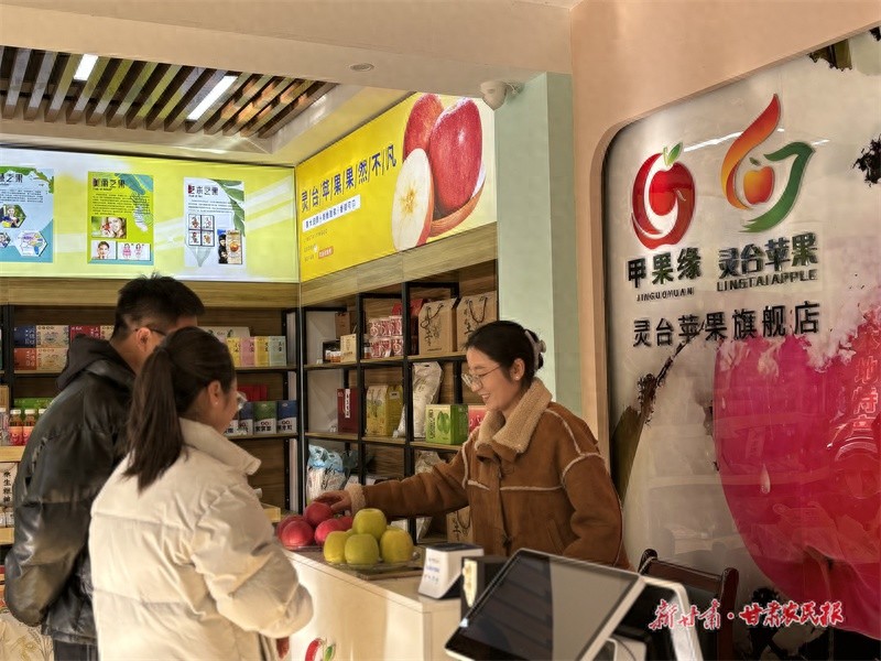 冬日寒风挡不住热情！灵台苹果销售火爆，线上日均百单，你尝过了吗？  第1张